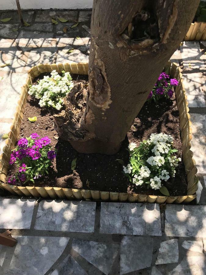 Lena'S Traditional Villa Agia Efimia 외부 사진
